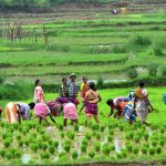 agriculture loan