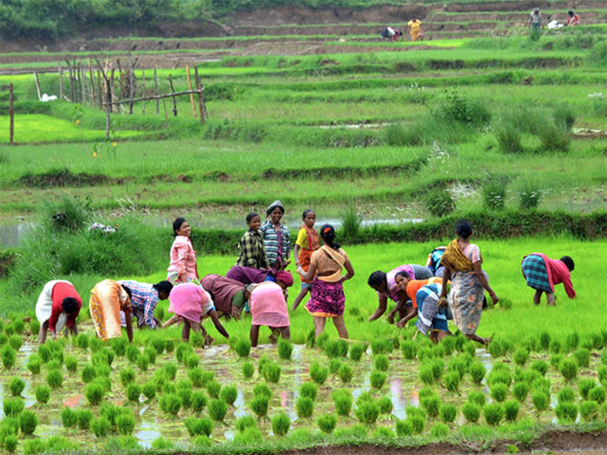 agriculture loan