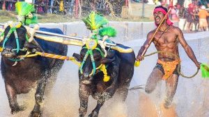 bengaluru kambala