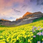 World Tourism Day 2024