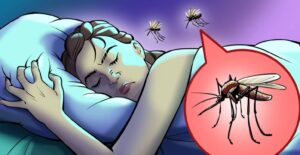 Mosquitoes