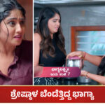 Bhagyalakshmi serial (5)