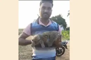 Haveri News