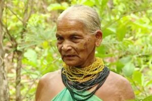 Tulsi Gowda