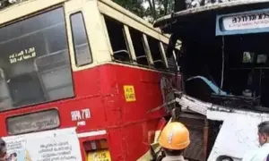 Viral Video