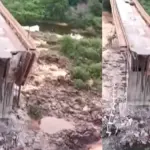 Viral Video