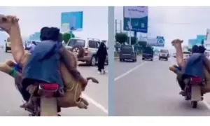 Viral Video