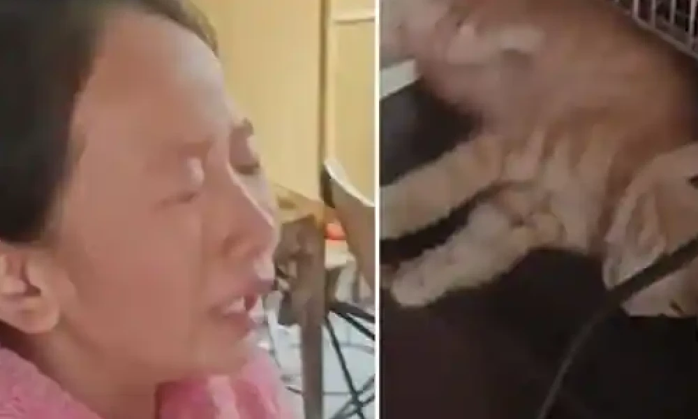 Viral Video