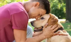 Dog and Human Realtionship