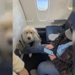 Viral News