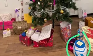 Viral Video