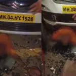 Viral Video