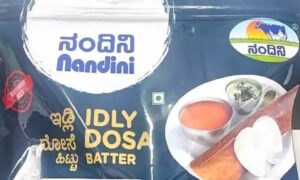 nandini dosa batter