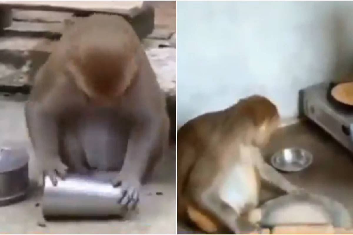viral video