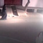 Viral Video
