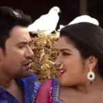 Viral Video