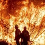 Los Angeles Wildfire
