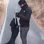Viral Video